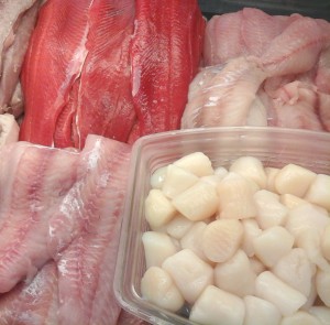 Fresh Sea Scallops, Steelhead and more