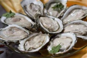 Willapa Bay Oysters